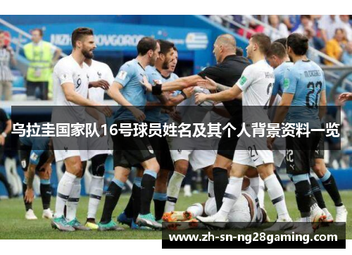 乌拉圭国家队16号球员姓名及其个人背景资料一览