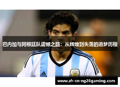 巴内加与阿根廷队遗憾之路：从辉煌到失落的追梦历程