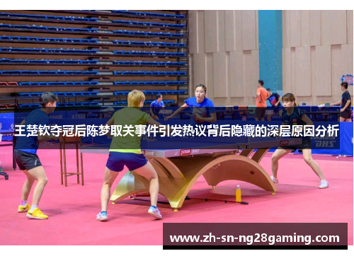 王楚钦夺冠后陈梦取关事件引发热议背后隐藏的深层原因分析