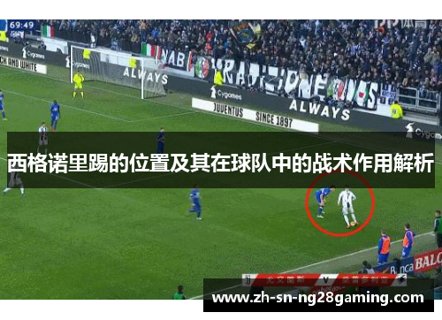 西格诺里踢的位置及其在球队中的战术作用解析