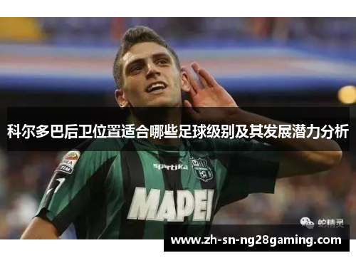 科尔多巴后卫位置适合哪些足球级别及其发展潜力分析