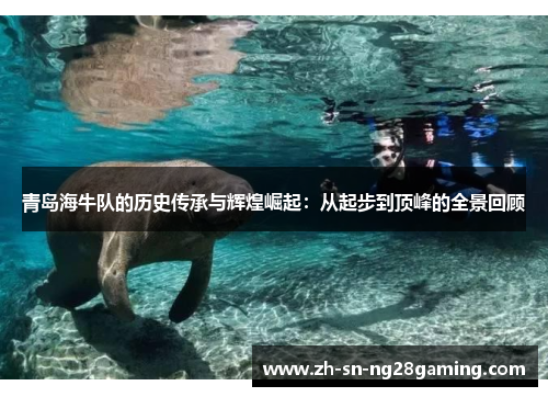 青岛海牛队的历史传承与辉煌崛起：从起步到顶峰的全景回顾