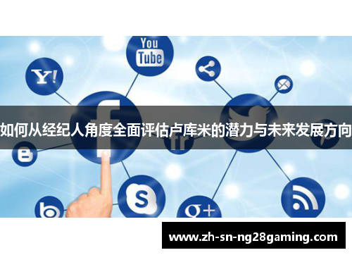 如何从经纪人角度全面评估卢库米的潜力与未来发展方向