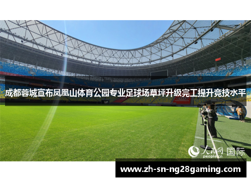 成都蓉城宣布凤凰山体育公园专业足球场草坪升级完工提升竞技水平