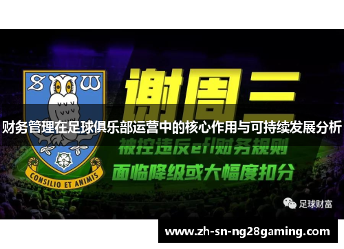 财务管理在足球俱乐部运营中的核心作用与可持续发展分析